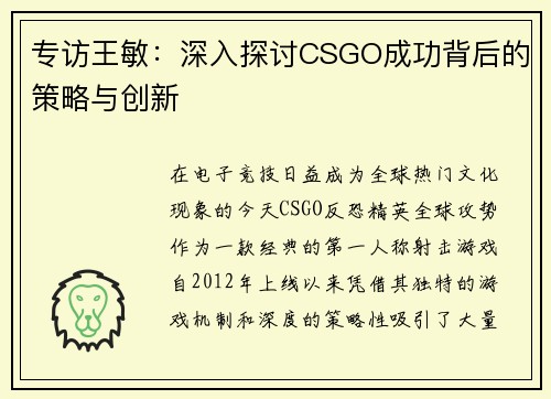 专访王敏：深入探讨CSGO成功背后的策略与创新