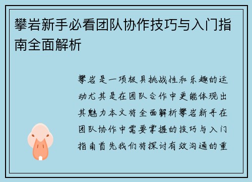 攀岩新手必看团队协作技巧与入门指南全面解析