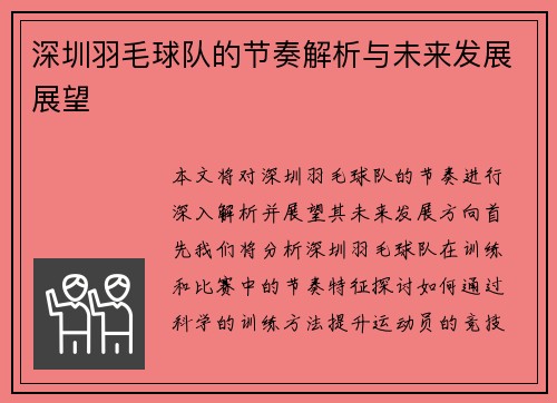深圳羽毛球队的节奏解析与未来发展展望